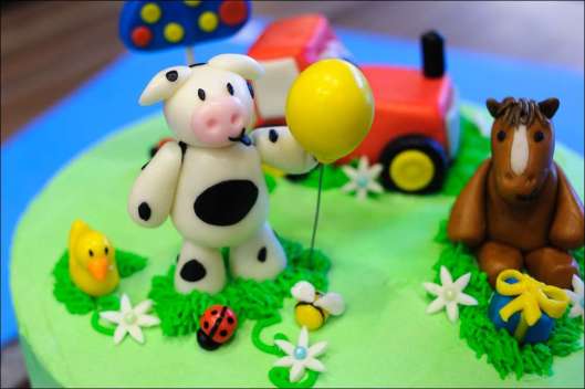farm-cake-22